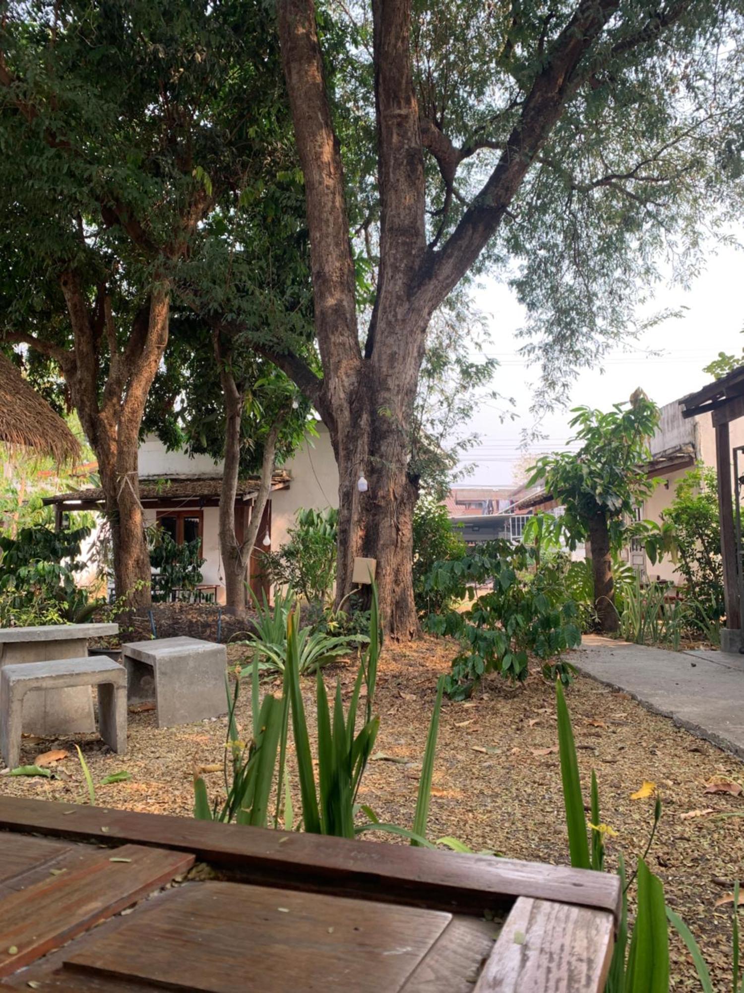 บ้านใจแปงโฮมสเตย์ Ban Jaipang Homestay Пай Экстерьер фото