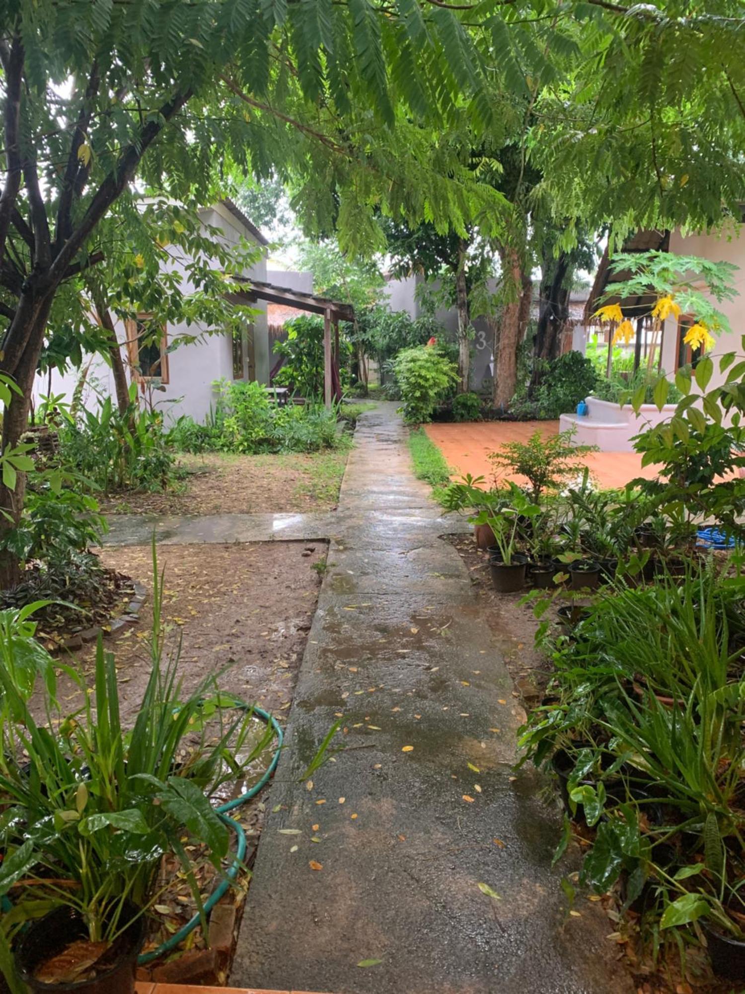 บ้านใจแปงโฮมสเตย์ Ban Jaipang Homestay Пай Экстерьер фото