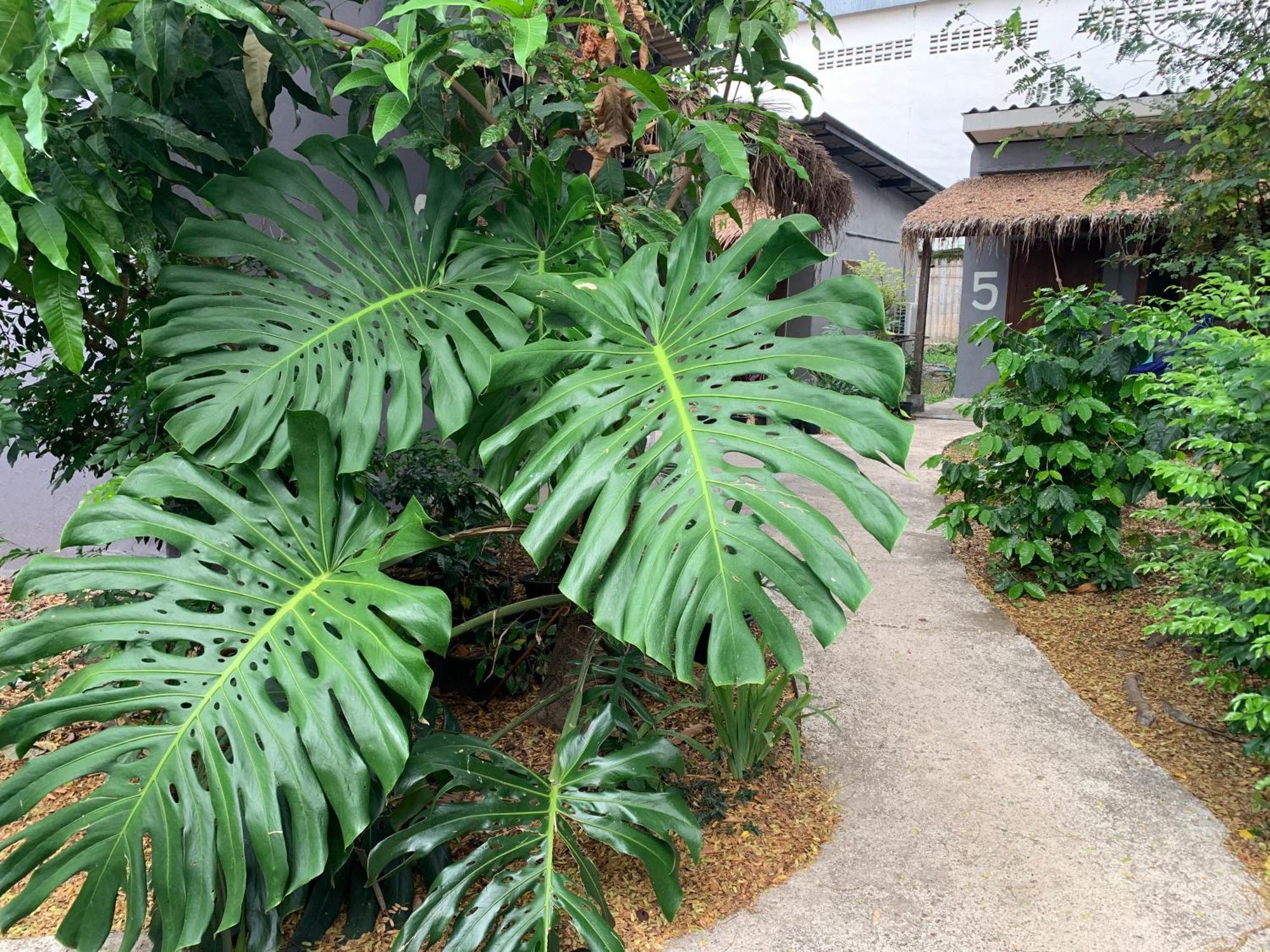 บ้านใจแปงโฮมสเตย์ Ban Jaipang Homestay Пай Экстерьер фото